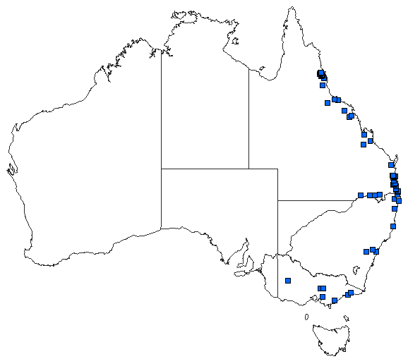 Australian distribution of Austrocnemis splendida