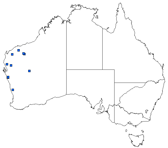 Australian distribution of Austroepigomphus gordoni