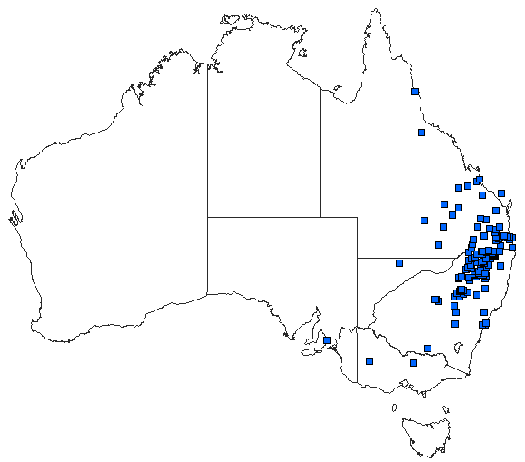 Australian distribution of Austroepigomphus praeruptus