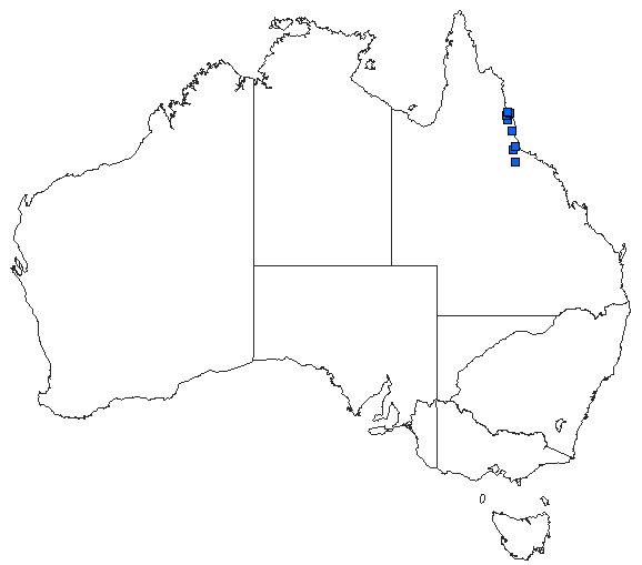 Australian distribution of Austrogomphus doddi