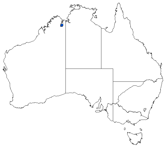 Australian distribution of Austrogomphus mouldsorum