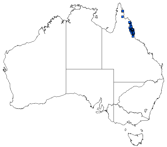 Australian distribution of Austrogomphus prasinus