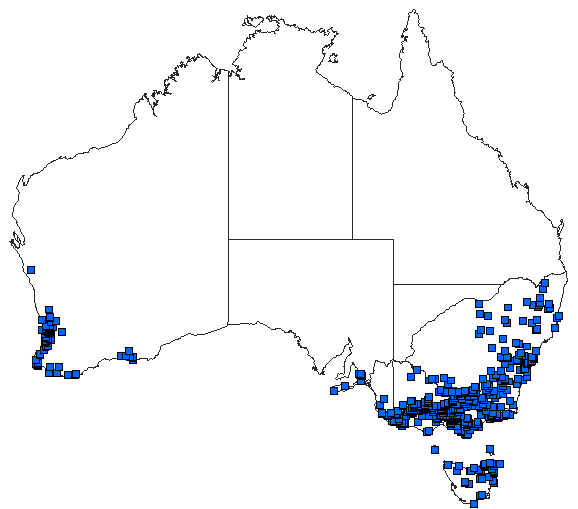 Australian distribution of Austrolestes analis