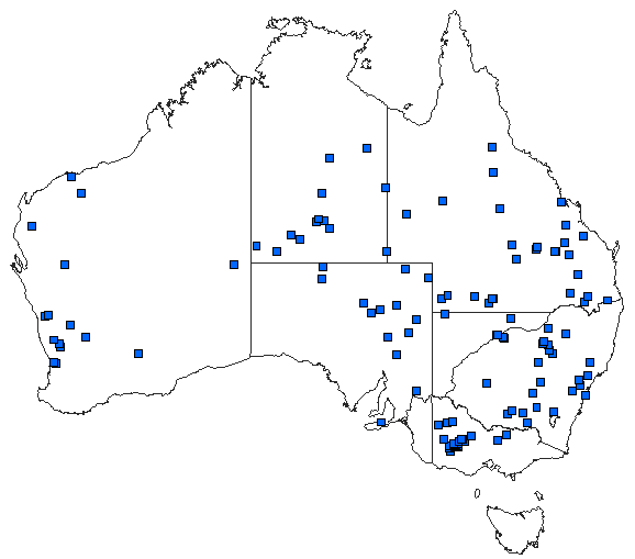 Australian distribution of Austrolestes aridus