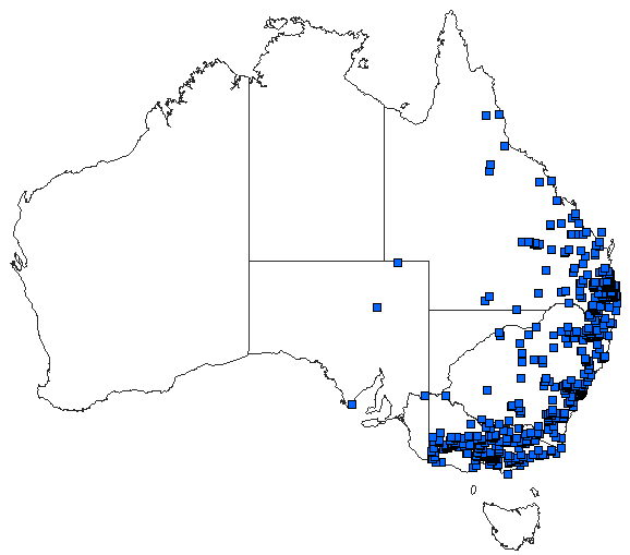 Australian distribution of Austrolestes leda