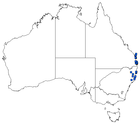 Australian distribution of Austrolestes minjerriba
