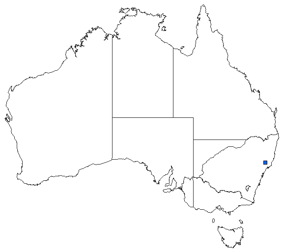 Australian distribution of Austropetalia annaliese