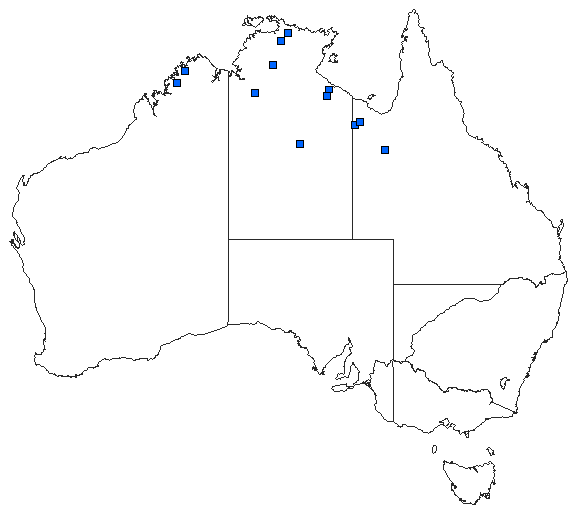 Australian distribution of Austrosticta fieldi