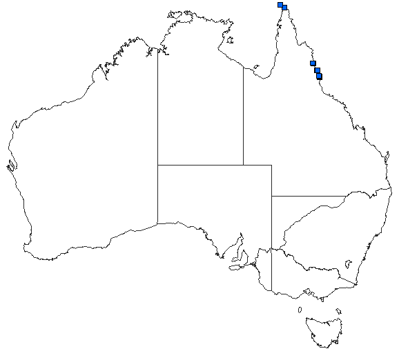 Australian distribution of Brachydiplax duivenbodei