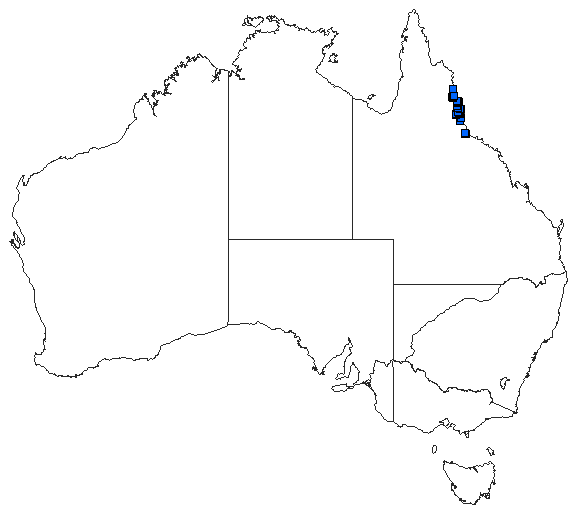 Australian distribution