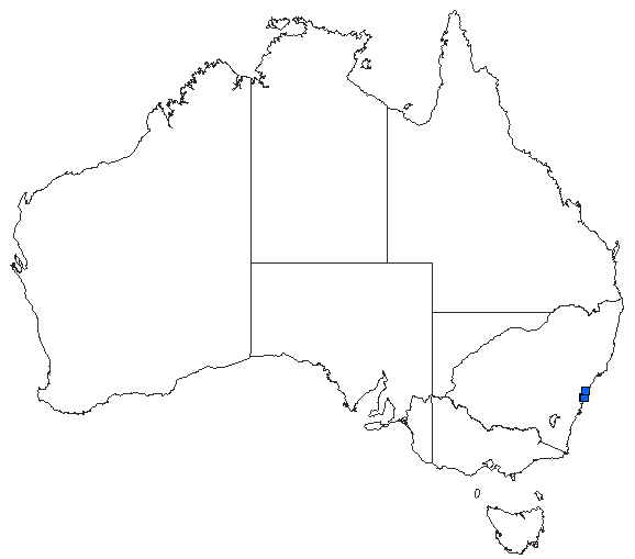 Australian distribution of Cordulephya divergens