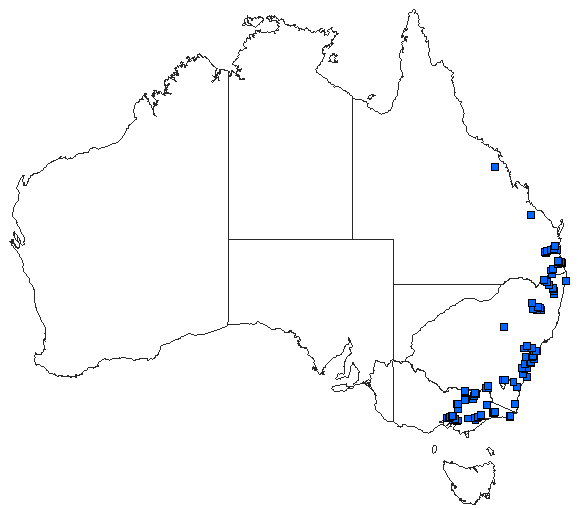 Australian distribution of Cordulephya pygmaea