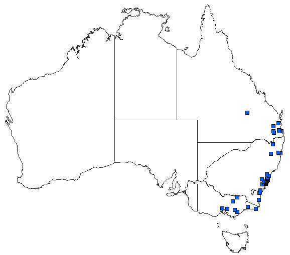 Australian distribution of Dendroaeschna conspersa