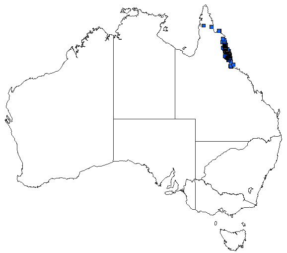 Australian distribution of Diphlebia euphoeoides