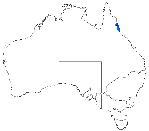 Australian distribution of Diphlebia hybridoides
