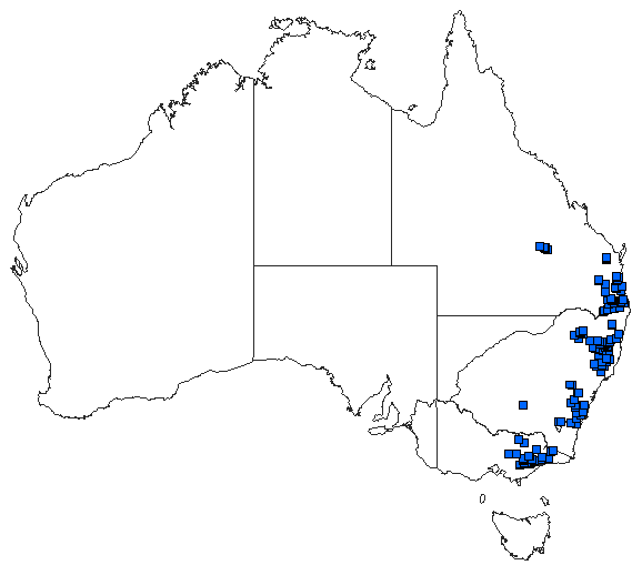 Australian distribution of Diphlebia nymphoides