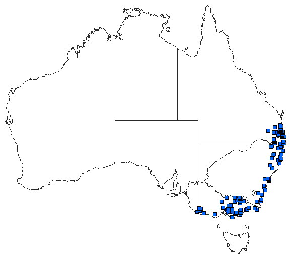 Australian distribution