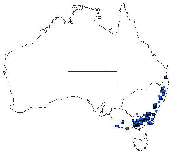 Australian distribution of Eusynthemis brevistyla