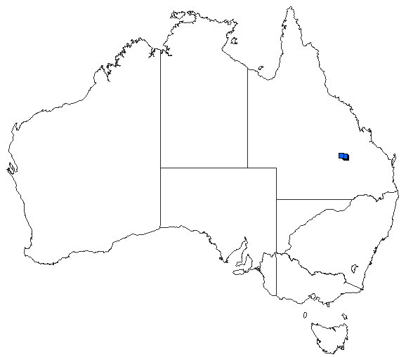 Australian distribution of Eusynthemis deniseae