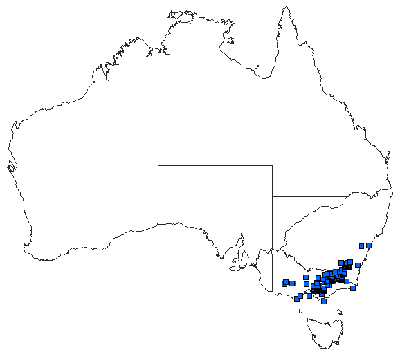 Australian distribution of Eusynthemis guttata