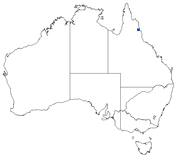Australian distribution of Eusynthemis netta