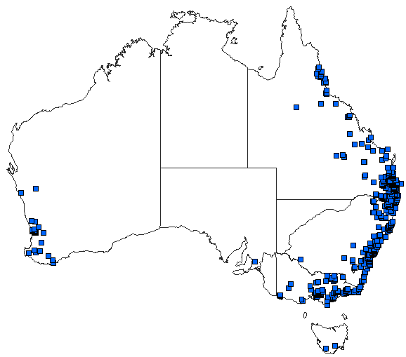 Australian distribution of Hemicordulia australiae