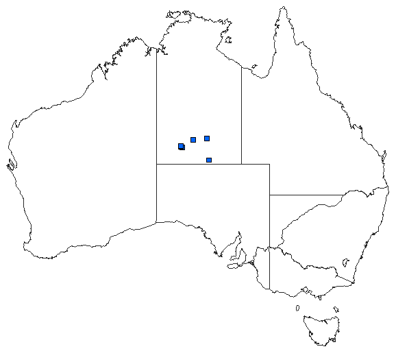 Australian distribution of Hemicordulia flava