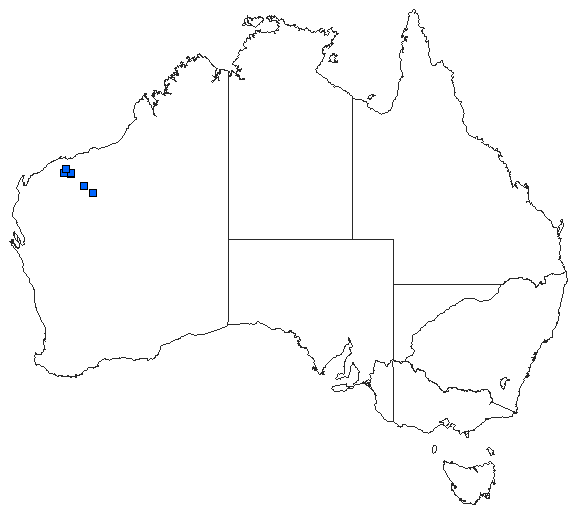 Australian distribution of Hemicordulia koomina