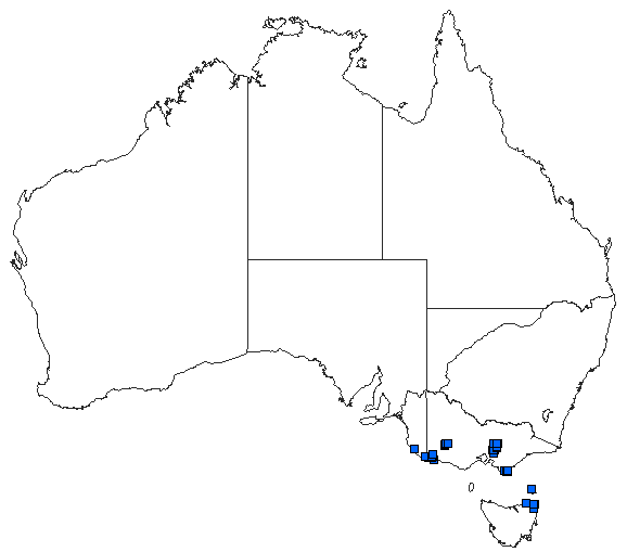 Australian distribution of Hemiphlebia mirabilis