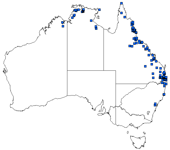Australian distribution of Ictinogomphus australis