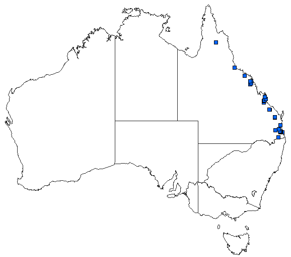 Australian distribution of Labidiosticta vallisi