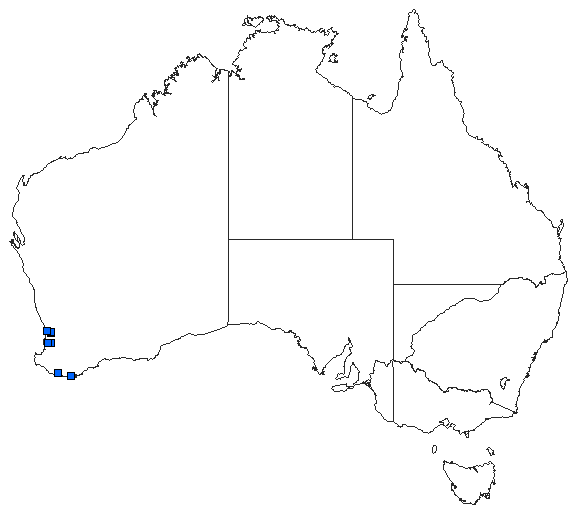 Australian distribution of Lathrocordulia metallica