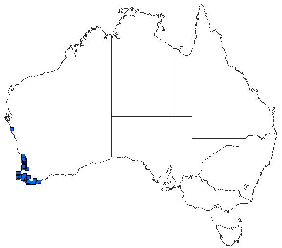 Australian distribution of Miniargiolestes minimus