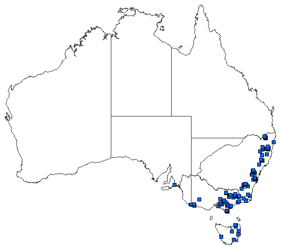 Australian distribution of Nannophya dalei