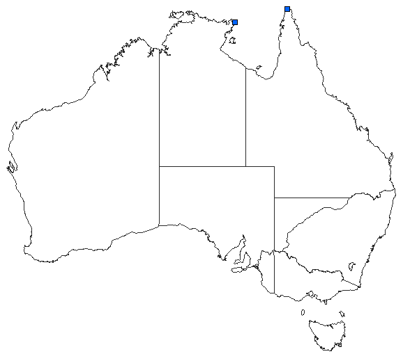 Australian distribution of Nannophya paulsoni