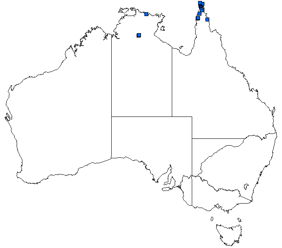 Australian distribution of Neurothemis oligoneura