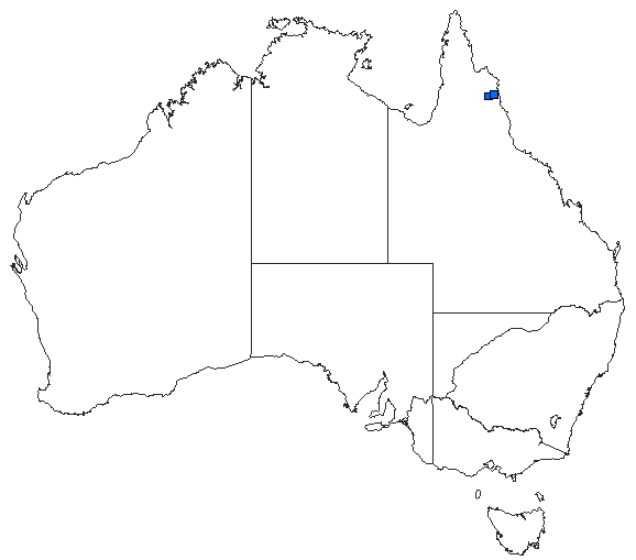 Australian distribution of Oristicta rosendaleorum