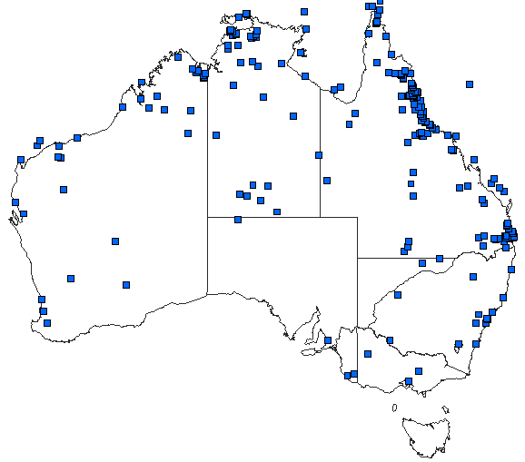 Australian distribution of Pantala flavescens