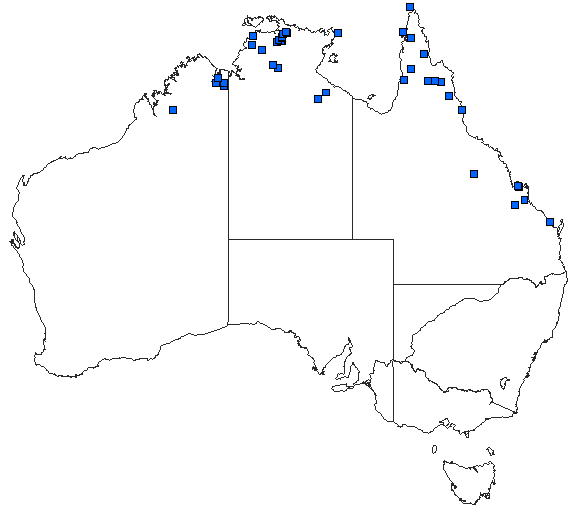 Australian distribution of Potamarcha congener