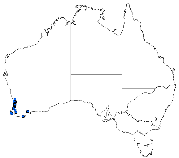Australian distribution of Procordulia affinis