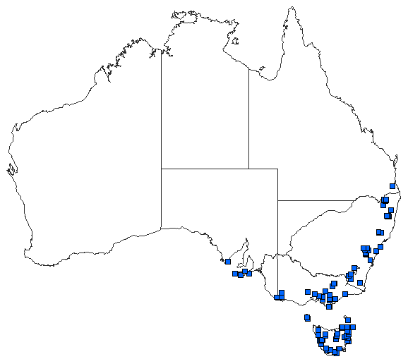 Australian distribution of Procordulia jacksoniensis