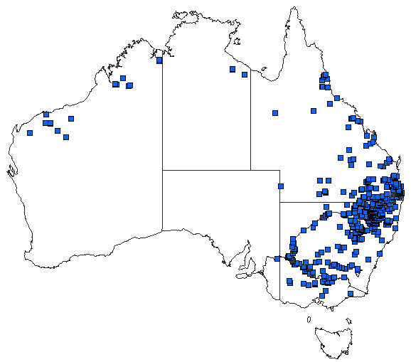 Australian distribution of Pseudagrion aureofrons