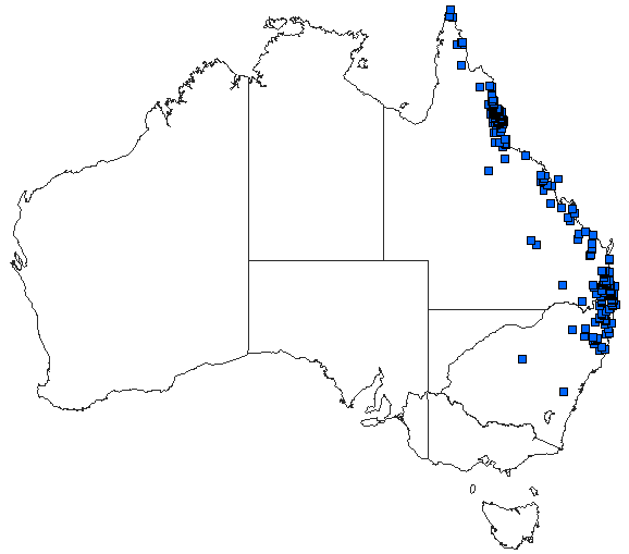 Australian distribution of Pseudagrion ignifer