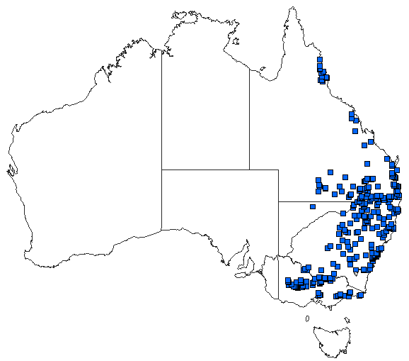 Australian distribution of Rhadinosticta simplex