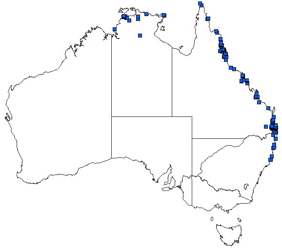 Australian distribution of Rhyothemis phyllis