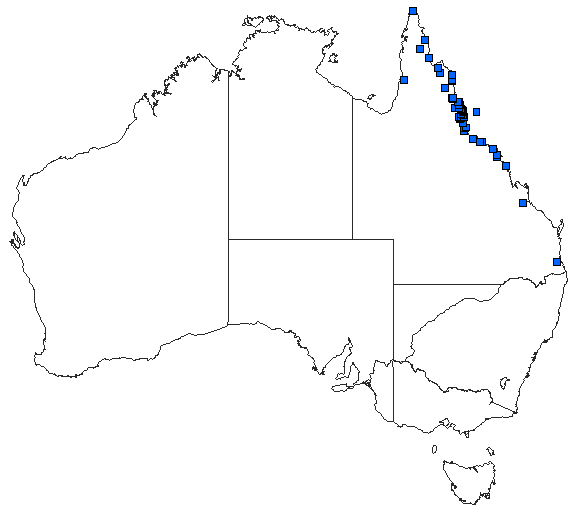 Australian distribution of Rhyothemis princeps
