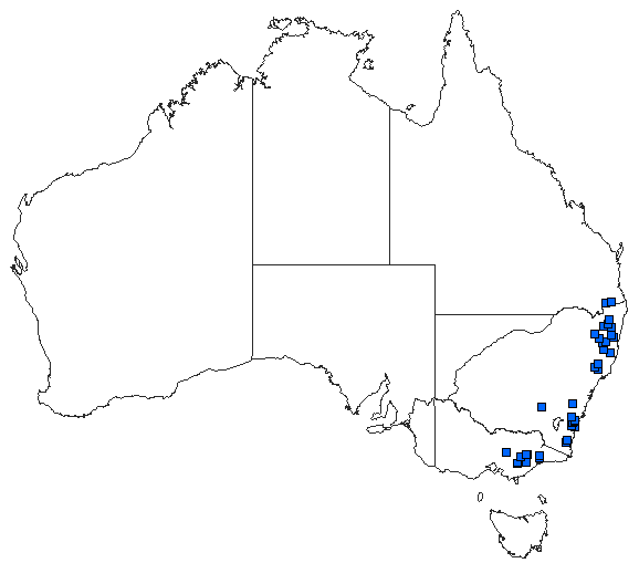 Australian distribution of Spinaeschna tripunctata