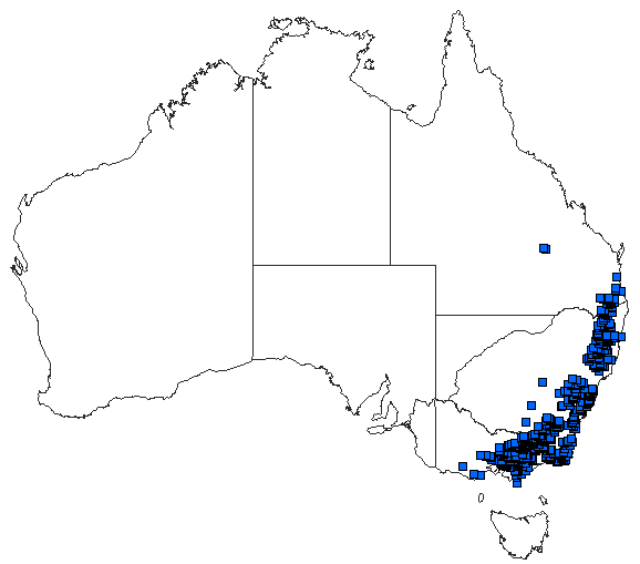 Australian distribution of Synlestes weyersii