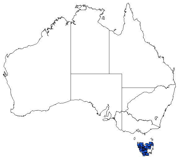 Australian distribution of Synthemis tasmanica