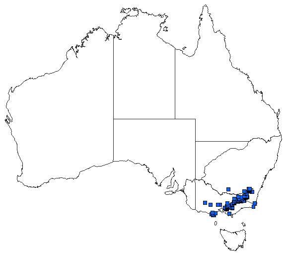 Australian distribution